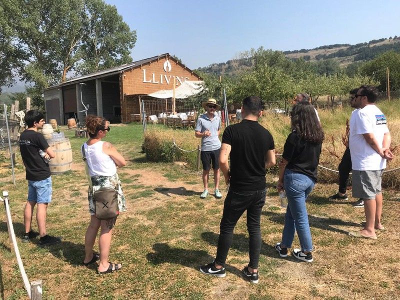 Llivins, vinos a más de 1200 m de altitud