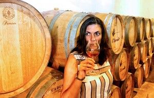 Bodega Sexto elemento