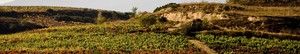 Bodegas Obalo