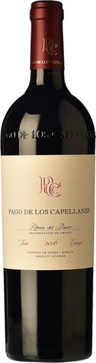 Pago de los Capellanes Crianza Magnum